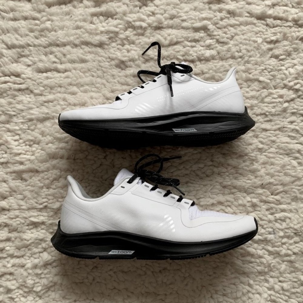 Custom Nike Zoom Pegasus Sneakers